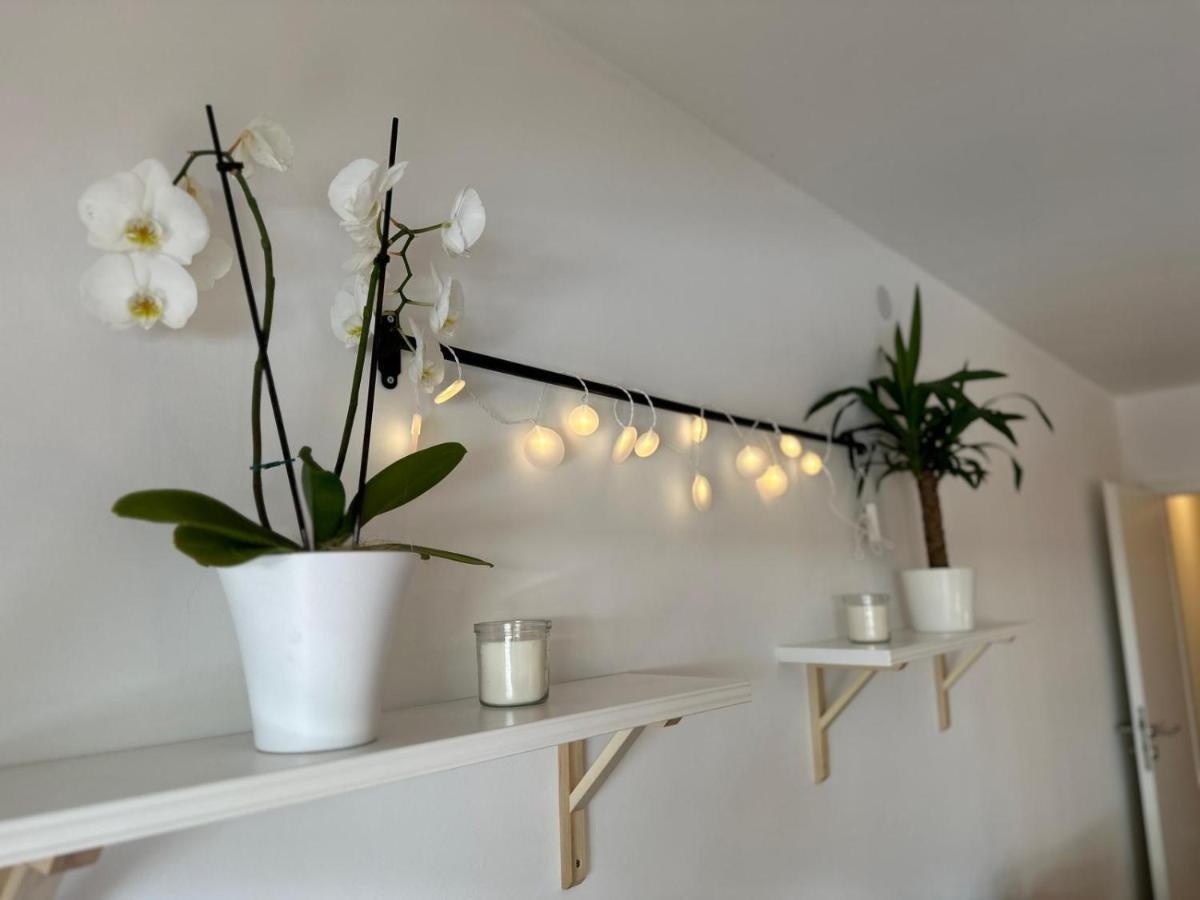 Olaf Und Hildegard Apartment Bad Wildbad Bagian luar foto